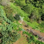 Terreno, Ilha da Madeira, Machico