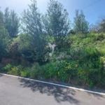 Lote de Terreno, Ilha da Madeira, Santa Cruz
