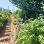 Lote de Terreno, Ilha da Madeira, Santa Cruz