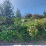 Lote de Terreno, Ilha da Madeira, Santa Cruz