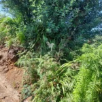 Lote de Terreno, Ilha da Madeira, Santa Cruz