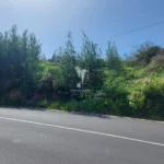 Lote de Terreno, Ilha da Madeira, Santa Cruz