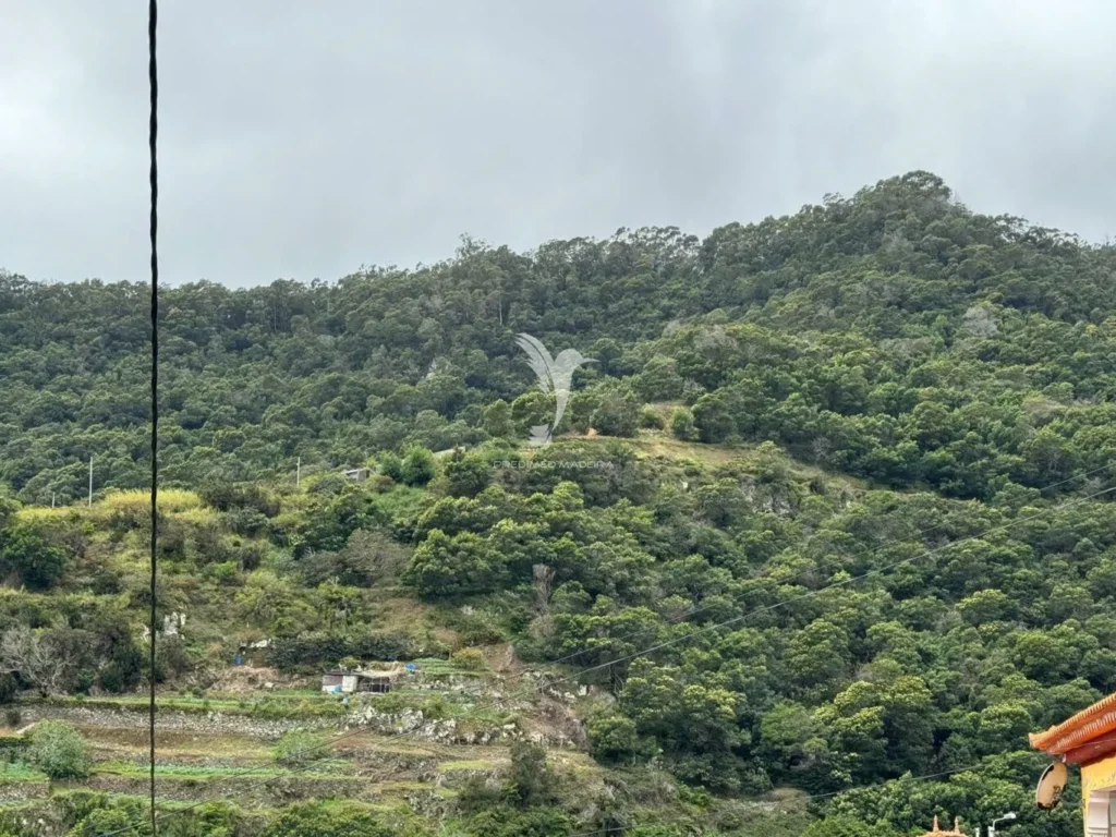 Terreno Rústico, Ilha da Madeira, Machico