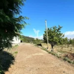 Lote de Terreno, Ilha da Madeira, Calheta (Madeira)