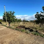 Lote de Terreno, Ilha da Madeira, Calheta (Madeira)