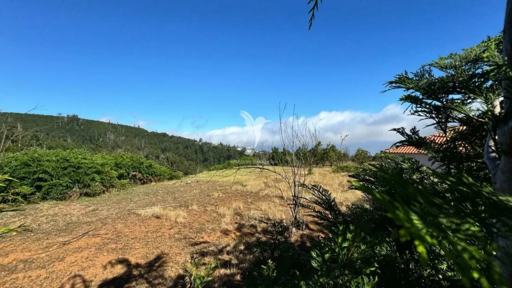 Lote de Terreno, Ilha da Madeira, Calheta (Madeira)