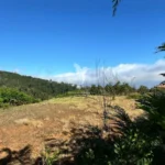 Lote de Terreno, Ilha da Madeira, Calheta (Madeira)