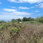 Terreno Rústico, Ilha da Madeira, Santa Cruz