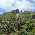 Terreno Rústico, Ilha da Madeira, Santa Cruz