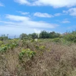 Terreno Rústico, Ilha da Madeira, Santa Cruz