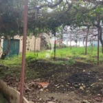 Lote de Terreno, Ilha da Madeira, Ponta do Sol