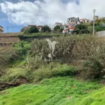 Lote de Terreno, Ilha da Madeira, Ponta do Sol