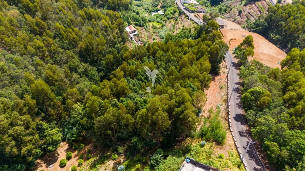 Lote de Terreno, Ilha da Madeira, Santa Cruz