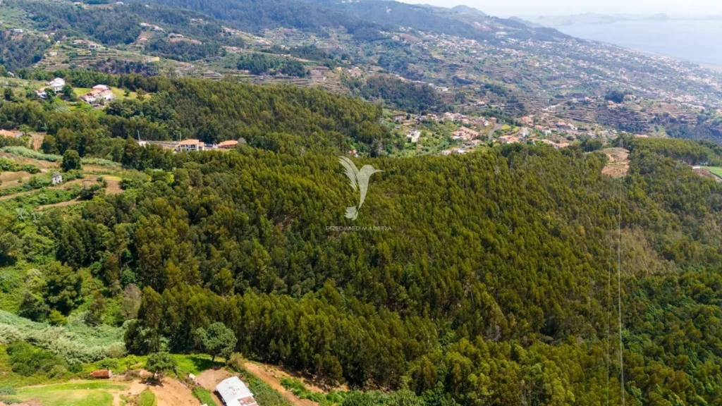 Terreno, Ilha da Madeira, Santa Cruz