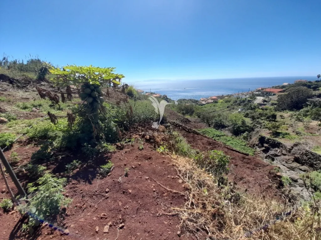 Terreno Rústico, Ilha da Madeira, Santa Cruz