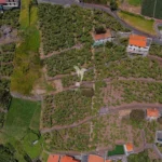 Lote de Terreno, Ilha da Madeira, Câmara de Lobos