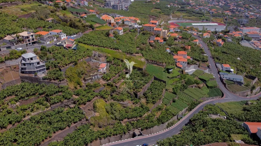 Lote de Terreno, Ilha da Madeira, Câmara de Lobos