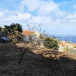 Terreno, Ilha da Madeira, Santa Cruz