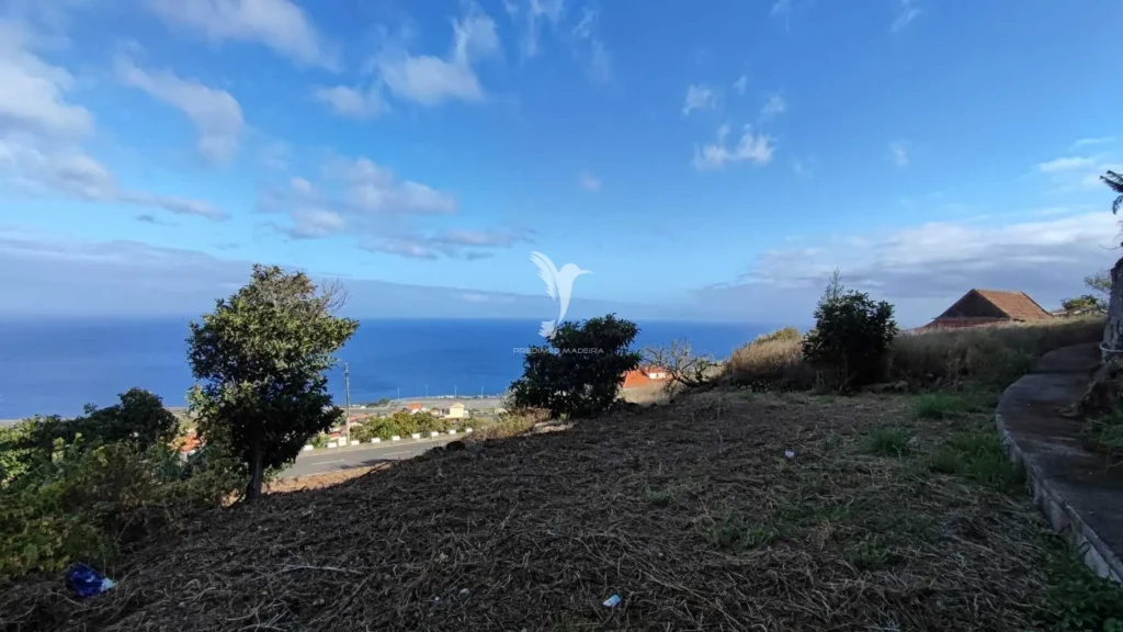 Terreno, Ilha da Madeira, Santa Cruz