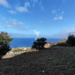 Terreno, Ilha da Madeira, Santa Cruz