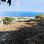 Terreno, Ilha da Madeira, Santa Cruz