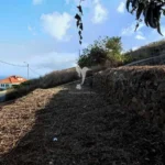 Terreno, Ilha da Madeira, Santa Cruz