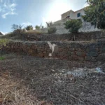 Terreno, Ilha da Madeira, Santa Cruz