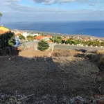 Terreno, Ilha da Madeira, Santa Cruz