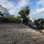 Terreno, Ilha da Madeira, Santa Cruz