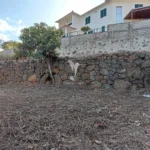 Terreno, Ilha da Madeira, Santa Cruz