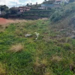 Lote de Terreno, Ilha da Madeira, Santa Cruz