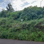 Lote de Terreno, Ilha da Madeira, Santa Cruz