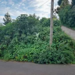 Lote de Terreno, Ilha da Madeira, Santa Cruz