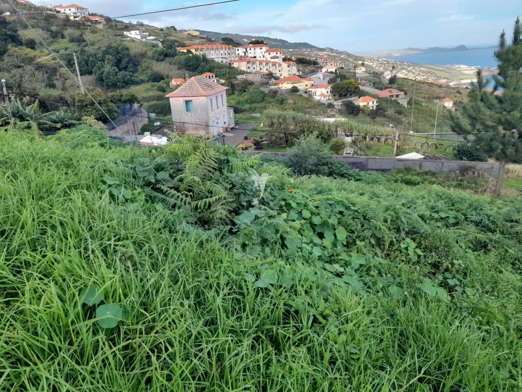 Lote de Terreno, Ilha da Madeira, Santa Cruz