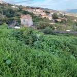 Lote de Terreno, Ilha da Madeira, Santa Cruz