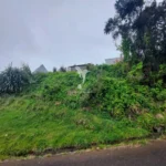Terreno Misto, Ilha da Madeira, Santana