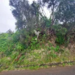 Terreno Misto, Ilha da Madeira, Santana