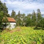 Lote de Terreno, Ilha da Madeira, Machico