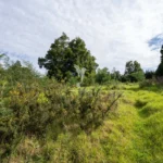 Lote de Terreno, Ilha da Madeira, Machico