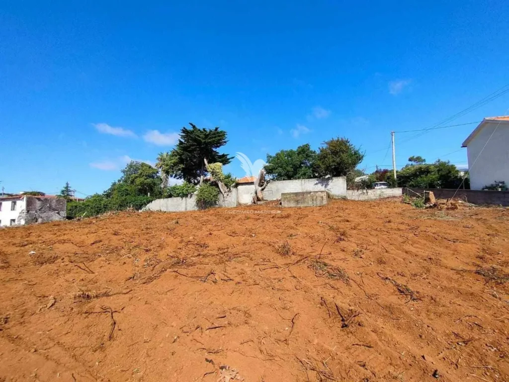 Terreno, Ilha da Madeira, Santa Cruz