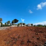 Terreno, Ilha da Madeira, Santa Cruz