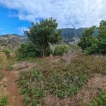 Lote de Terreno, Ilha da Madeira, Machico