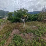 Lote de Terreno, Ilha da Madeira, Machico