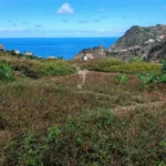 Lote de Terreno, Ilha da Madeira, Machico