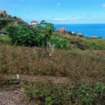 Lote de Terreno, Ilha da Madeira, Machico