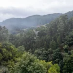 Lote de Terreno, Ilha da Madeira, Santa Cruz