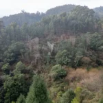 Lote de Terreno, Ilha da Madeira, Santa Cruz