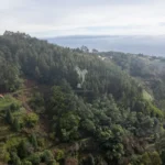 Lote de Terreno, Ilha da Madeira, Santa Cruz