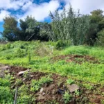 Lote de Terreno, Ilha da Madeira, Santa Cruz