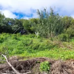 Lote de Terreno, Ilha da Madeira, Santa Cruz